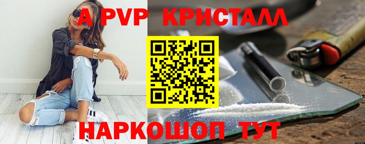 A PVP СК Новоалтайск