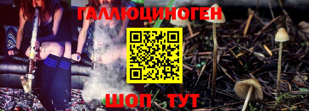 Новоалтайск  Галлюциногенные грибы ЛСД  Галлюциногенные грибы мицелий  Вход с VPN 